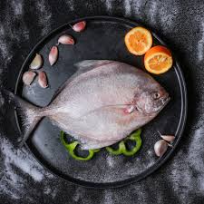 مرکز خرید و فروش صادراتی عمده ماهی حلوا